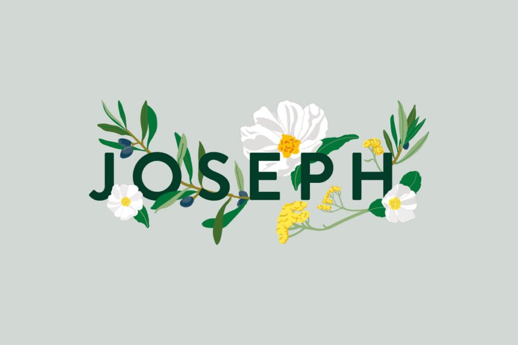 illustration vectorielle fleurie pour un faire part de naissance personnalisé